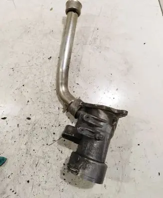 EGR valve
