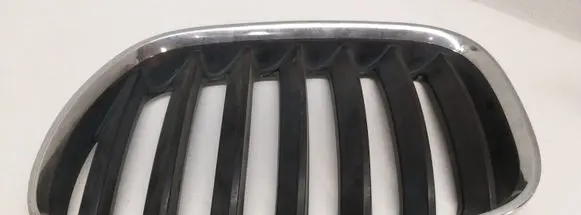 BMW X5 E53 Front bumper upper radiator grill 51137124815
