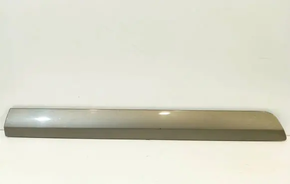 Front door trim (molding)