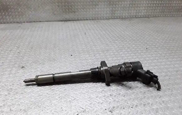 Citroen C8 Fuel injector 9653344880 0986435014