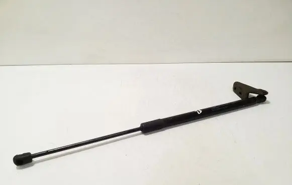 Tailgate/trunk strut/damper
