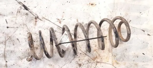 Rear coil spring