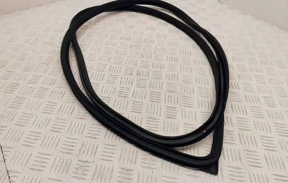 Renault Koleos I Front door rubber seal 