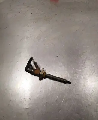 Citroen Berlingo Fuel injector 0445110239