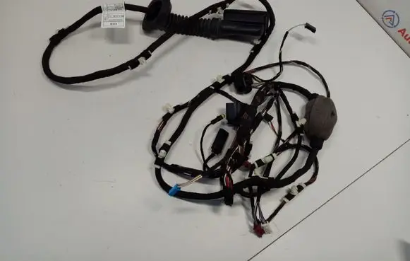 Rear door wiring loom