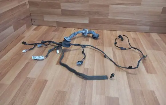 Front door wiring loom