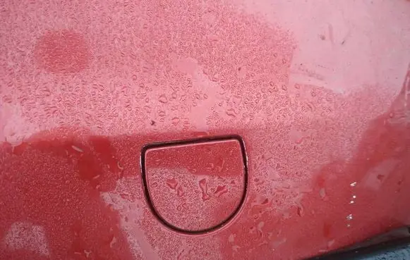 Citroen C3 Rear bumper row hook cap/cover 