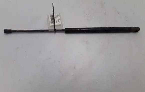 Tailgate strut