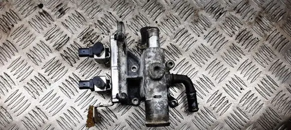 Ford Focus Thermostat/thermostat housing 1S768K556AJ