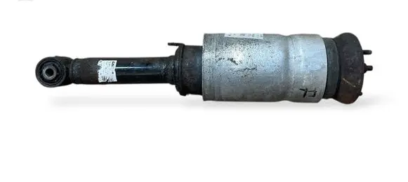 Land Rover Range Rover Sport L320 Air suspension front shock absorber 22257273 1006077 DEVLA