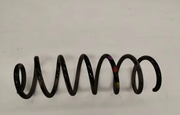 Renault Megane IV Rear coil spring 550201590R