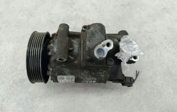 Skoda Octavia Mk2 (1Z) Air conditioning (A/C) compressor (pump)