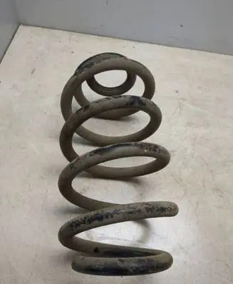 Rear coil spring