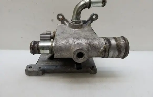 Thermostat/thermostat housing
