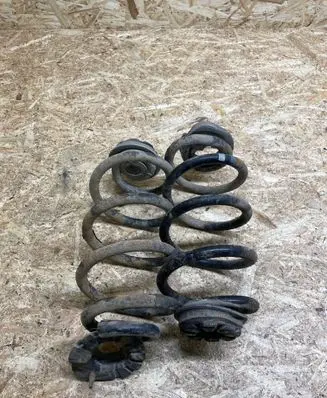 Nissan Qashqai Rear coil spring