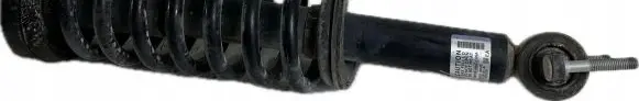 Ford F150 Front shock absorber with coil spring