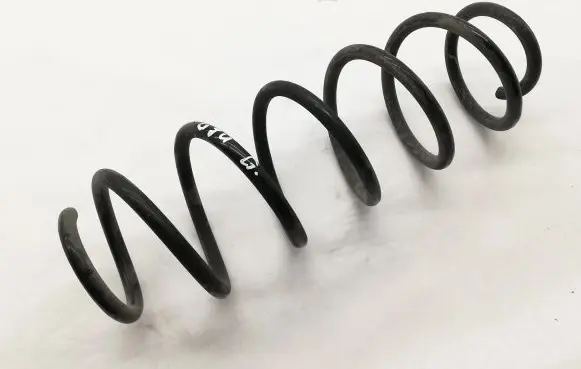 Rear coil spring