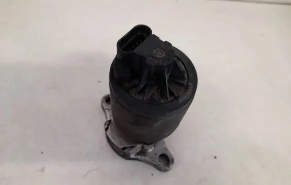 EGR valve