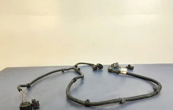 Audi A8 S8 D3 4E Other wiring loom 4E0971727E