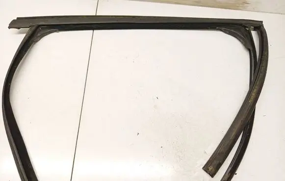 Ford Focus Rubber seal rear door 6514000091