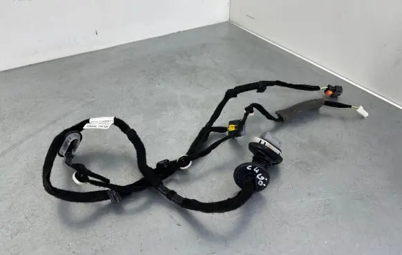 Citroen C4 SpaceTourer Rear door wiring loom 9816324780
