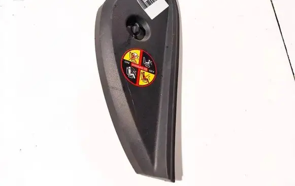 Renault Laguna III Other interior part 689200001r