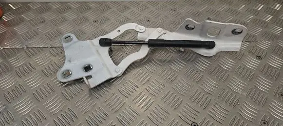Alfa Romeo Stelvio Engine bonnet/hood hinges 00505354500