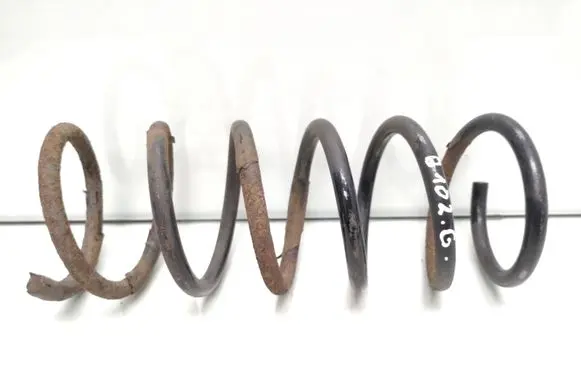 Rear coil spring