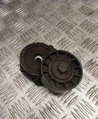 Peugeot Partner Generator/alternator belt tensioner