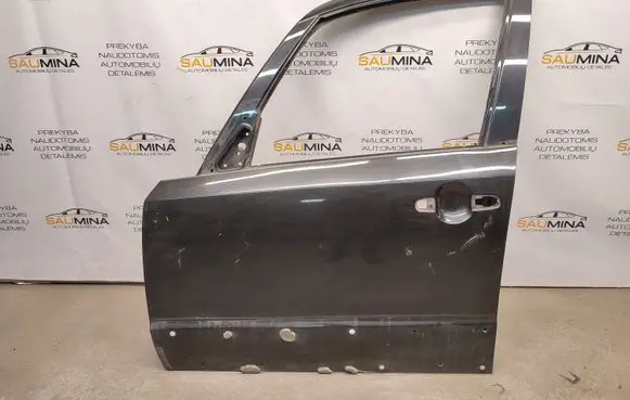Fiat Sedici Front door