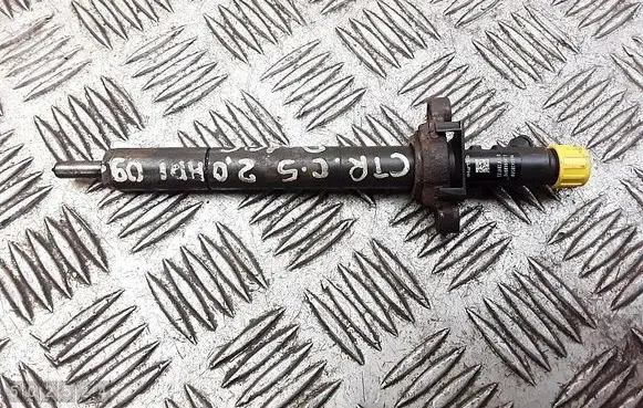 Citroen C5 Fuel injector 9688438580 ejbr06001d