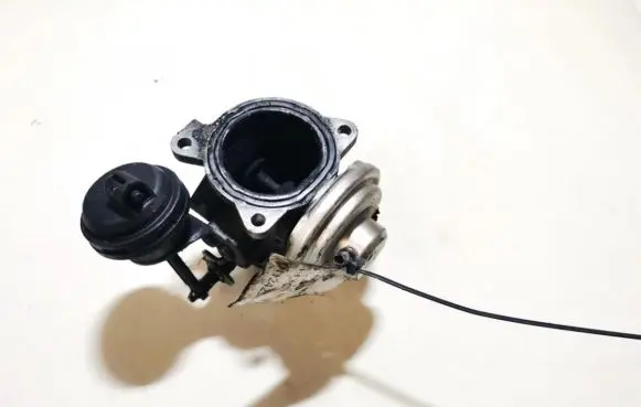 Skoda Fabia Mk1 (6Y) EGR valve 038191501m 218013