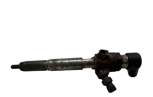 Renault Laguna III Fuel injector H8200380253 8200294788 50447