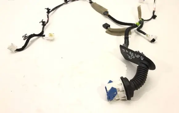 Front door wiring loom