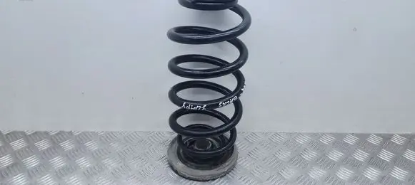 Rear coil spring