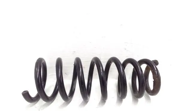 Front coil spring