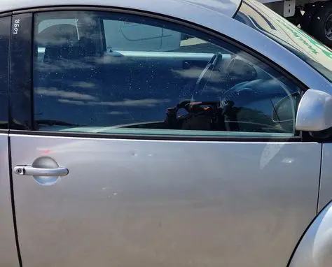 Volkswagen New Beetle Front door