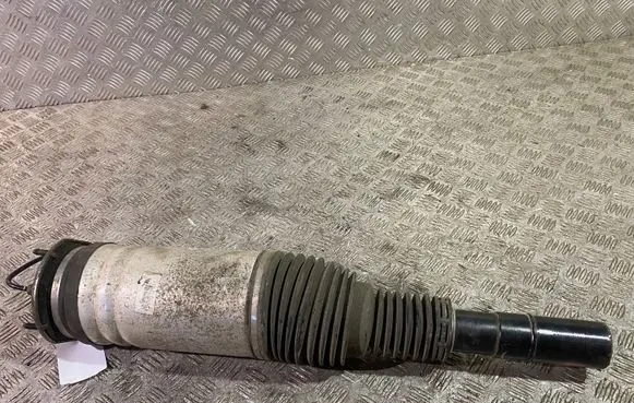 Land Rover Discovery 5 Front air suspension shock absorber HY323C286BC