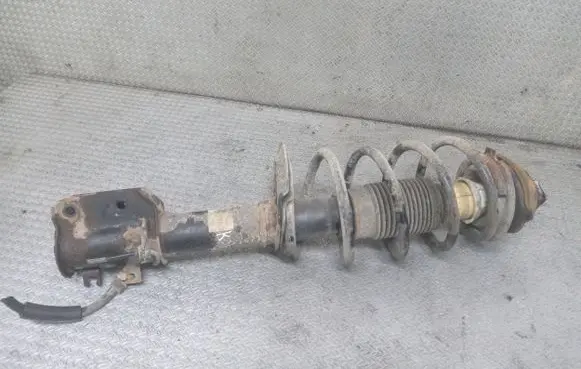 Fiat Idea Front shock absorber with coil spring
