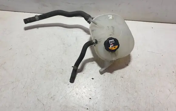 Hyundai Kona I Coolant expansion tank/reservoir 25430J9100