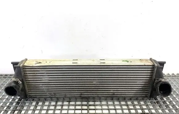 Volkswagen Crafter Intercooler radiator 
