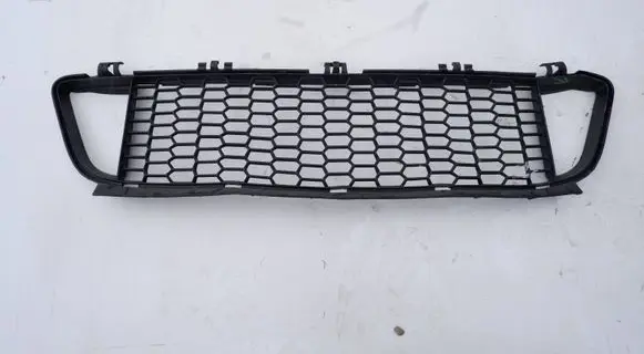 BMW 1 F20 F21 Front bumper lower grill 8048969