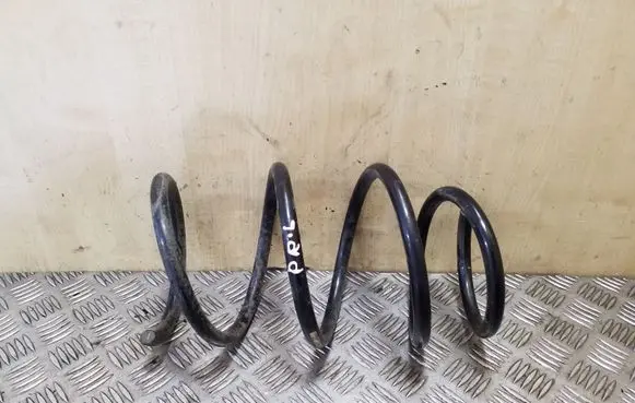 Front coil spring