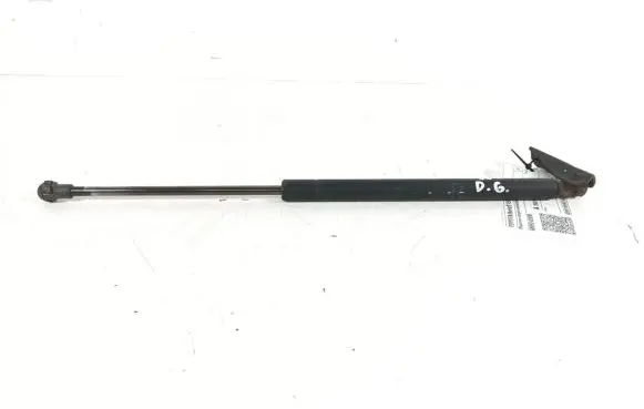 Tailgate strut