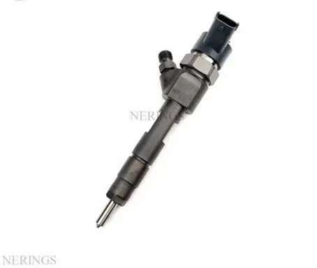 Renault Scenic I Fuel injector 0445110160