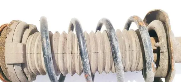 Front coil spring