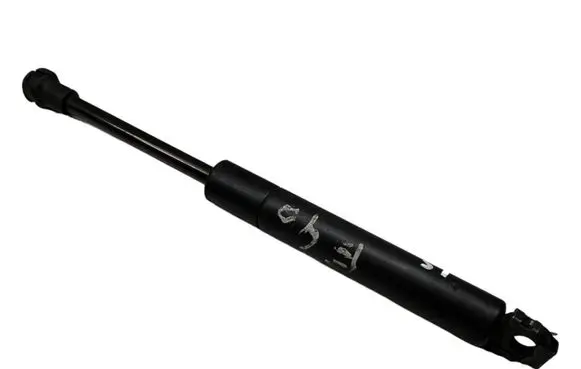 Tailgate strut