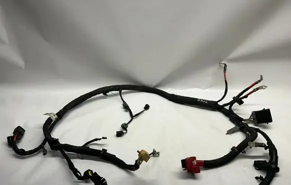 Other wiring loom