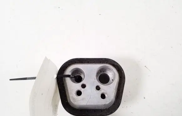 Porsche Cayenne (9Y0 9Y3) Air conditioning (A/C) expansion valve 4M0820339H