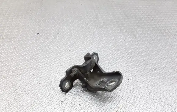 Renault Laguna III Front door upper hinge